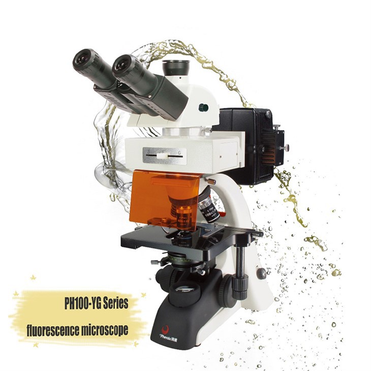 Pokončni fluorescenčni mikroskop